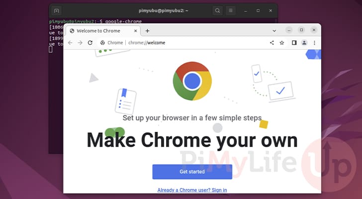 Google Chrome opened on Ubuntu through the terminal