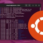 Ubuntu Copy Files
