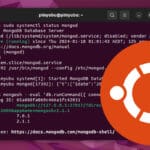 Ubuntu MongoDB