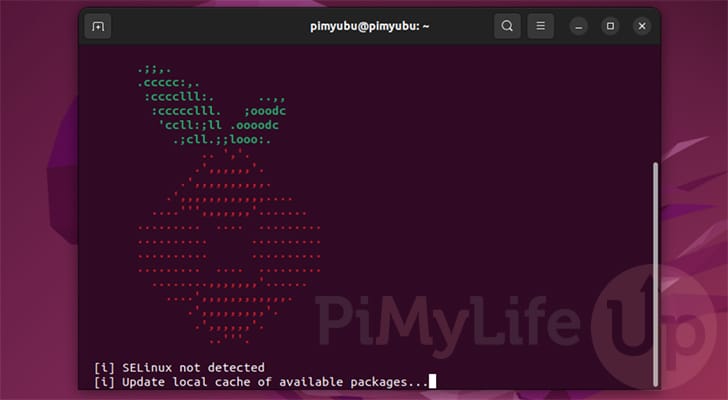 Pi-hole install script starting on Ubuntu