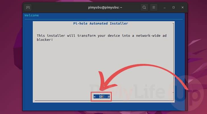 Welcome to Pi-Hole installer