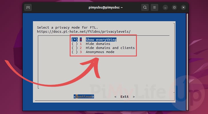 Set privacy mode for Pi-Hole DNS server