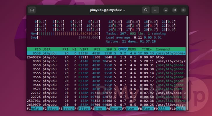 htop system monitor