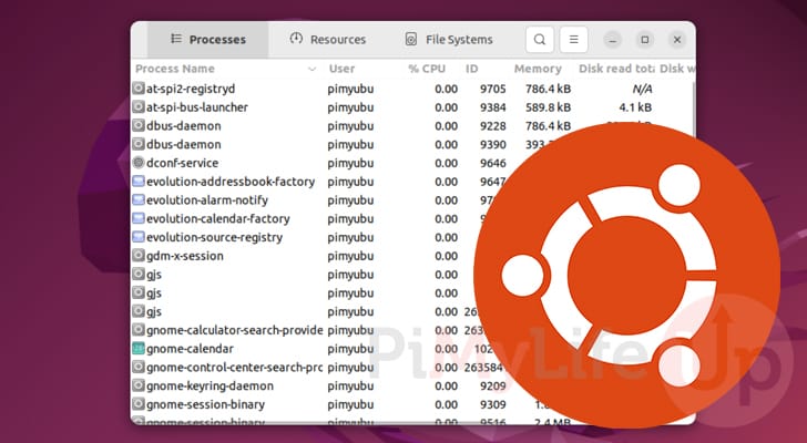Ubuntu Task Manager