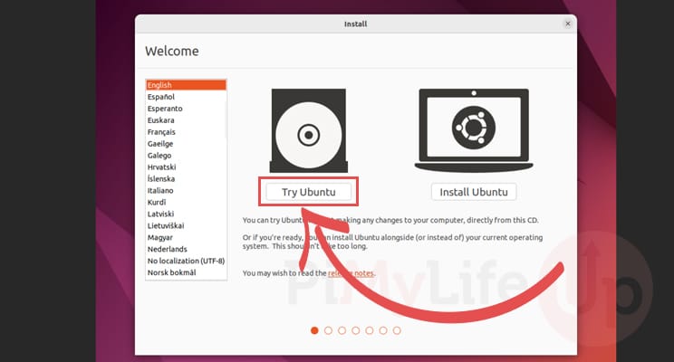 Select Try Ubuntu