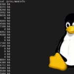 Linux Check Memory Usage