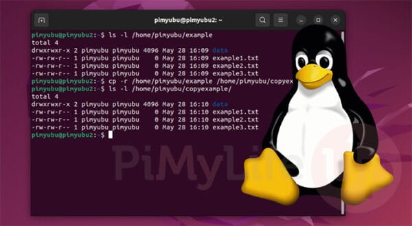 How to Copy a Directory on Linux - Pi My Life Up