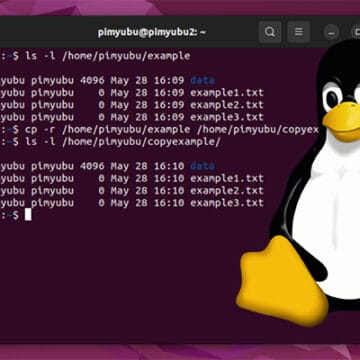 How to Copy and Paste in the Ubuntu Terminal - Pi My Life Up