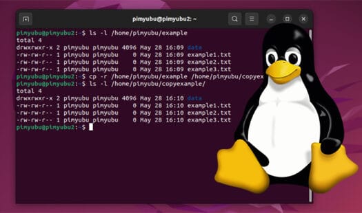 How to Copy a Directory on Linux Thumbnail