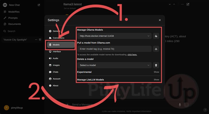 Manage LLM Models through the Open WebUI Interface