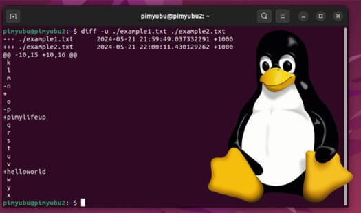 Comparing Files on Linux using the diff command in the Terminal Thumbnail