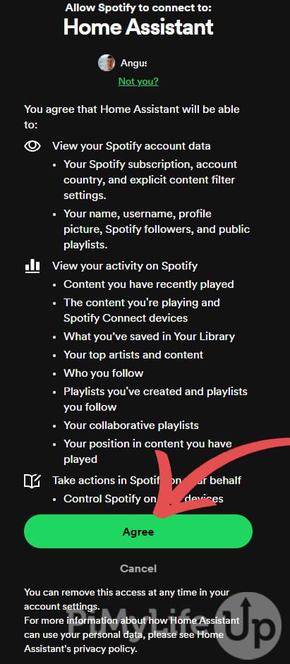 Allow Spotify to Connect to Home Assistant