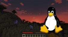 Minecraft Server Linux