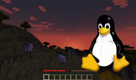 How to Download and Run a Minecraft Server on Linux Thumbnail