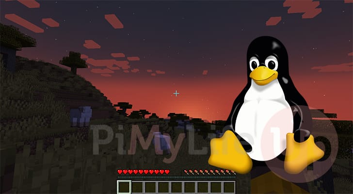 Minecraft Server Linux