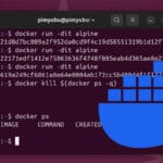 Docker Kill All Containers