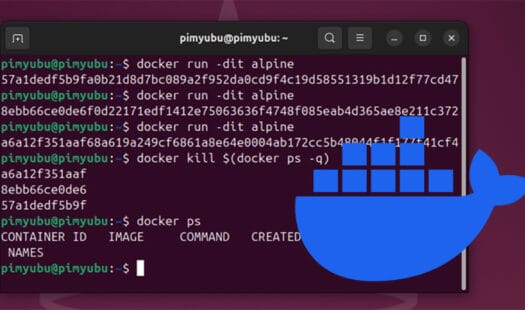 How to Kill All Running Docker Containers Thumbnail