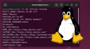 How to check the Raspbian Version - Pi My Life Up
