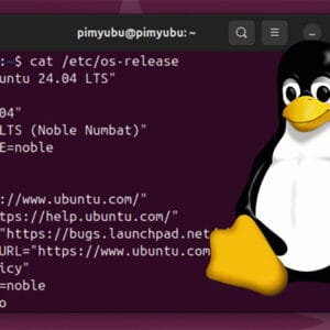 How to Check the Version of Python - Pi My Life Up