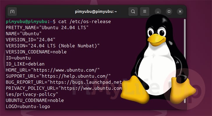 Linux Check OS Version