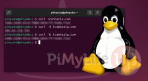 my ip address using curl