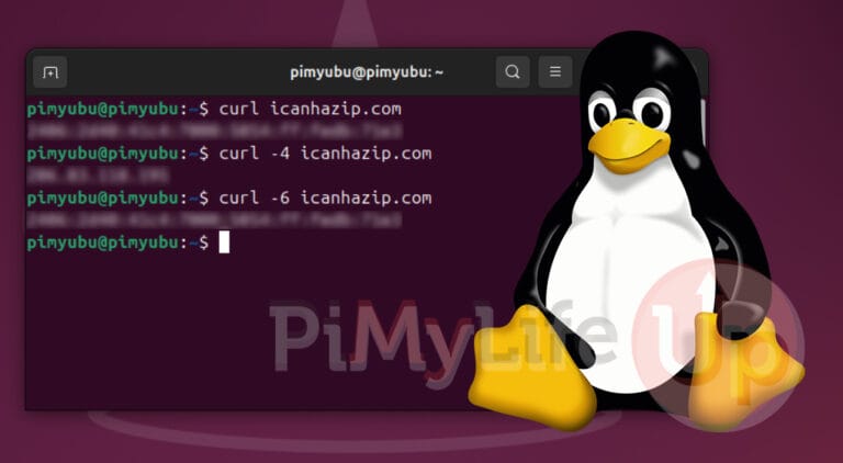 check ip linux curl