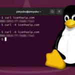 Linux Get public IP address using Curl