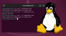 Linux Get public IP address using Curl