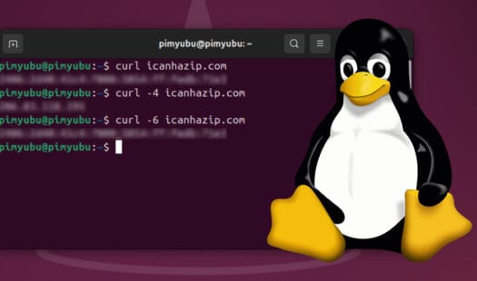 Get your Public IP Address using Curl on Linux Thumbnail