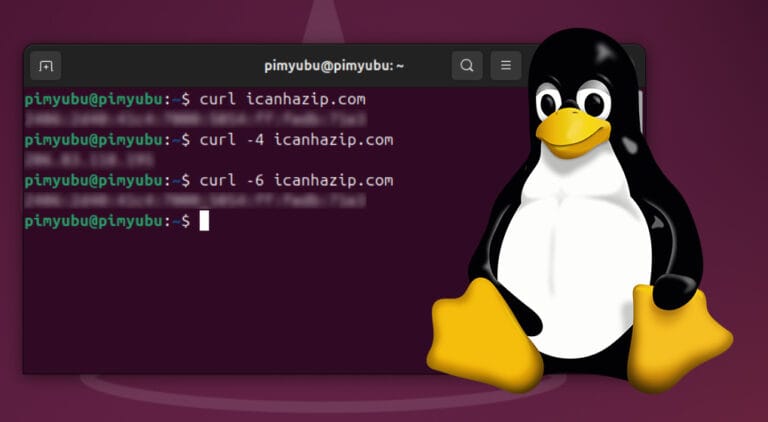 How to get your IP Address on Ubuntu - Pi My Life Up