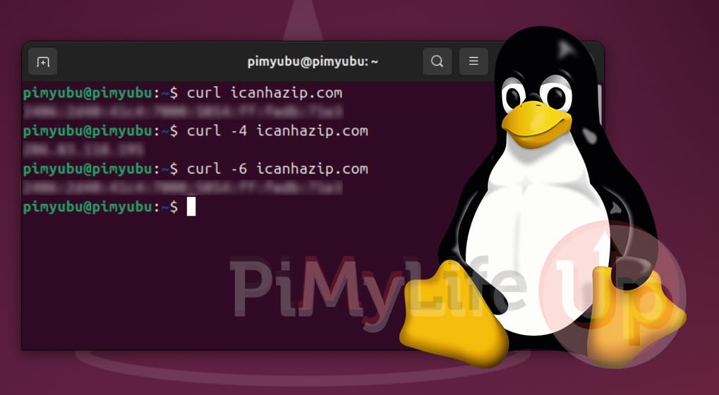 Linux Get public IP address using Curl