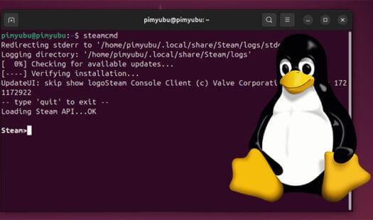 Installing SteamCMD on Linux Thumbnail