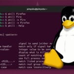 Linux Kill Process by Name