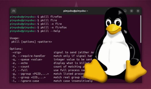 How to Kill a Process on Linux using its Name Thumbnail