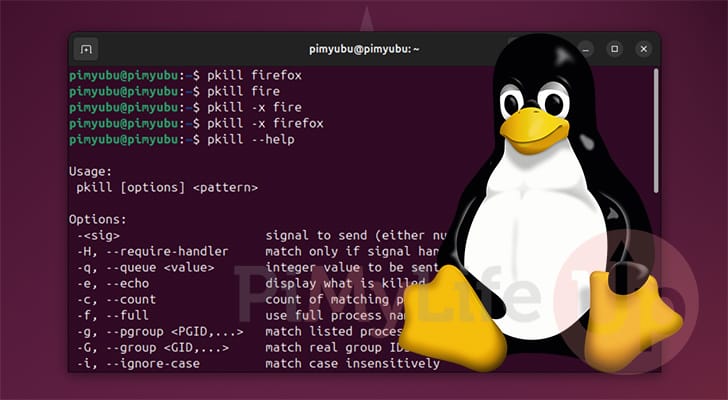 Linux Kill Process by Name