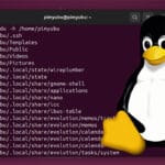 Linux Find Folder Disk Usage