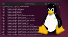 Linux Find Folder Disk Usage