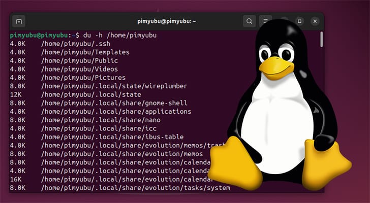 list folder disk usage linux