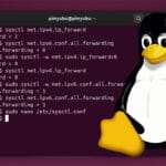 Linux IP Forwarding