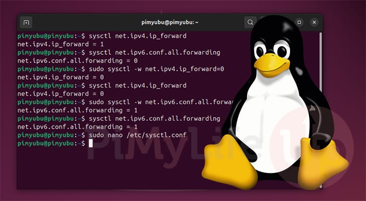 Linux IP Forwarding