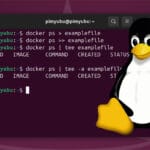 Linux Pipe Output to File