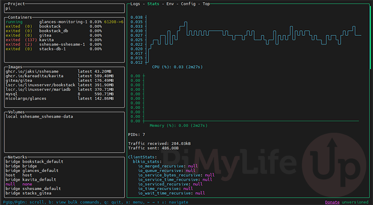 Overview of LazyDocker running on the Raspberry Pi