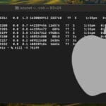 macOS kill process using terminal