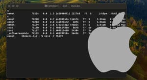 How to Find and Kill a Process Using a Specific Port on macOS - Pi My ...
