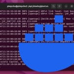 Docker Gluetun VPN Client