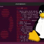 Linux Fastfetch