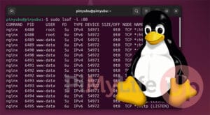Find and Kill a Process Using a Port on Linux - Pi My Life Up