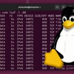 Linux Kill Process using Port