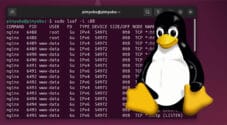 Linux Kill Process using Port