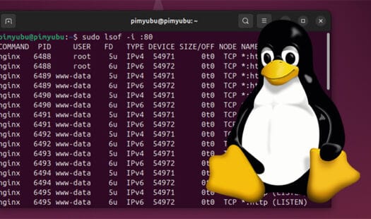 Find and Kill a Process Using a Port on Linux Thumbnail